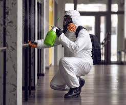 Why You Should Choose Our Mold Remediation Services in Escatawpa, MS